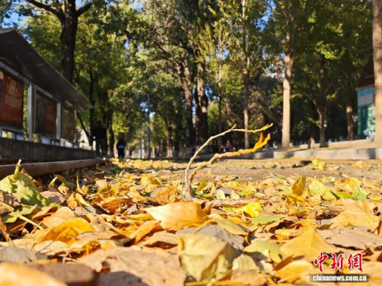 �S��54·��܉�܇�ؾ��h(hu��n)��������������߅�L(f��ng)ò������(j��)�����S���~䁝M·�������� ���z