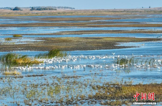 10��16��������ĪĪ����Ҽ���Ȼ���o(h��)�^(q��)��(n��i)�������ڑ�ˮ��(�o�˙C(j��)��Ƭ)�w��� �z