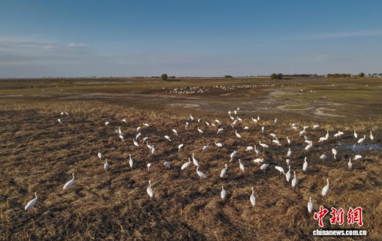 10��16�����ڼ���ĪĪ����Ҽ���Ȼ���o(h��)�^(q��)��(n��i)���Q����Ϣ��(�o�˙C(j��)��Ƭ)�w��� �z