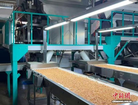 �������a(ch��n)����(�L�����P(gu��n)���D)