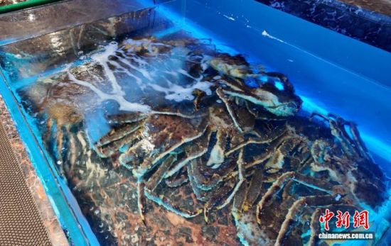 ���B(y��ng)����ĵ���з����߅��ί������ ���D