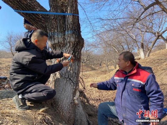 �����ˆT���ڌ�(du��)�����(sh��)���������w�z�������� �z