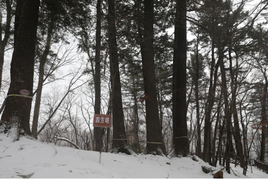 �ķ��������ڵ��� �������ý�w���Ĺ��D